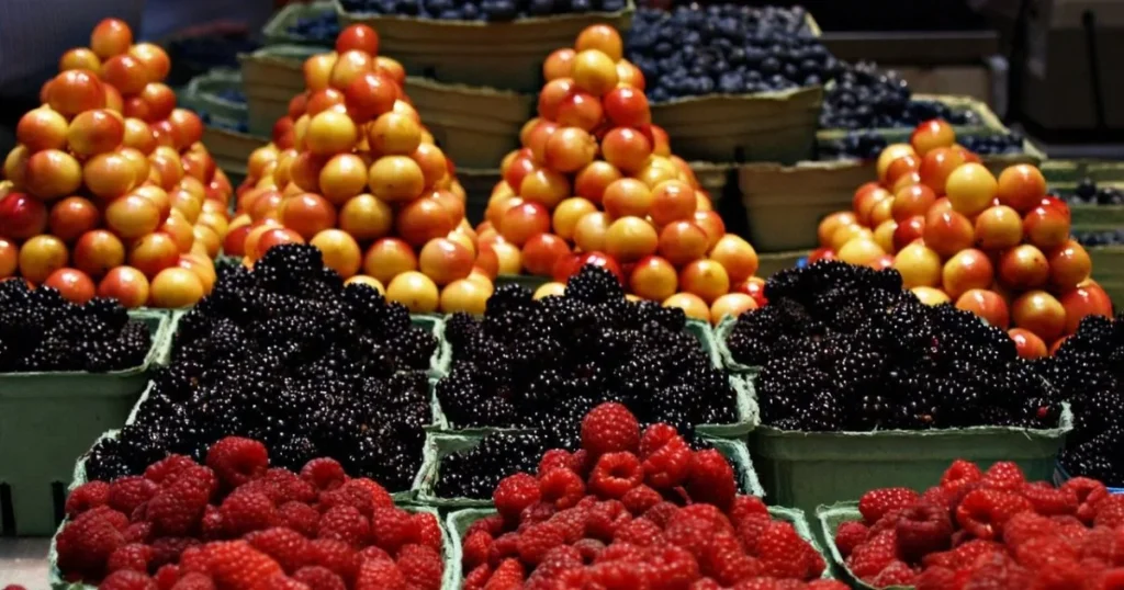 Alimentos antioxidantes: por onde começar